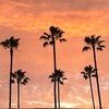 pinksky777